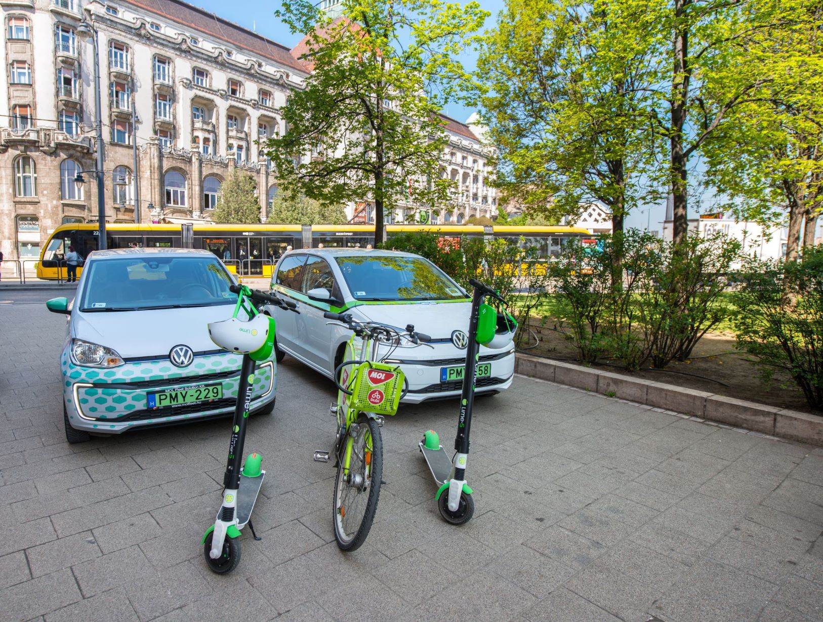 Man charging electric car while holding smartphone